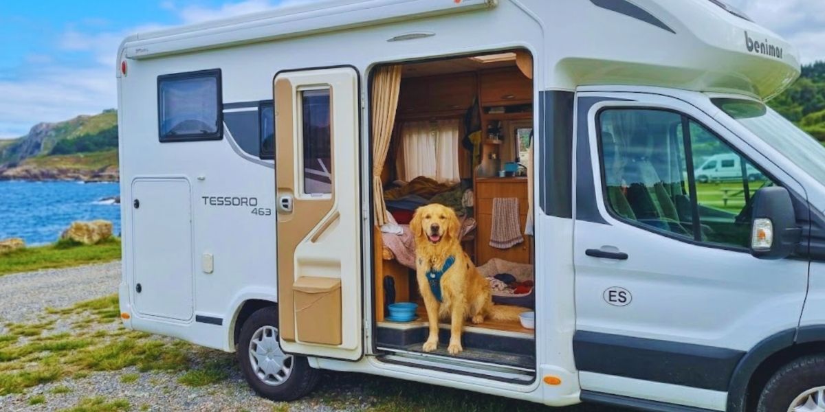 cosas que debes de saber antes de viajar con perro en autocaravana